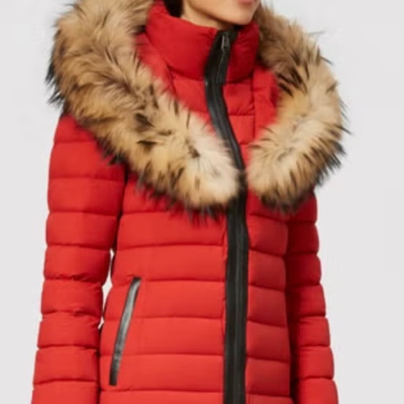 Mackage Kadalina - Picture 3 of 6